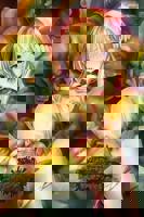 哥布林老巢1~4集免费观看中文版