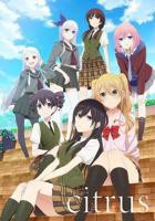 柑橘味香气免费在线观看