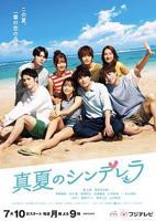 花房姑娘18大全免费观看电视剧