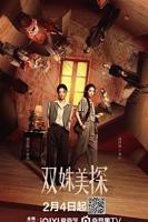 《双姝美探》电视剧免费观看高清版