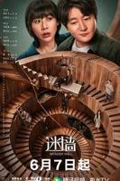 迷墙免费全集在线观看高清