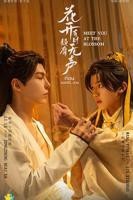 花开有时颓靡无声电视剧免费观看