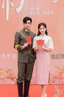 新娘子结婚之夜免费观看电视剧