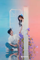 狙击蝴蝶在线观看全集免费播放